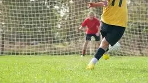 PGC 2025总决赛：韩国战队DNW夺得冠军