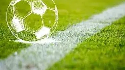 开云体育官方网站