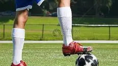 美元硬币深度解析：揭秘其稳定1：1美元汇率的关键