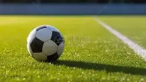 开云体育官方网站 资讯 085724 ai3